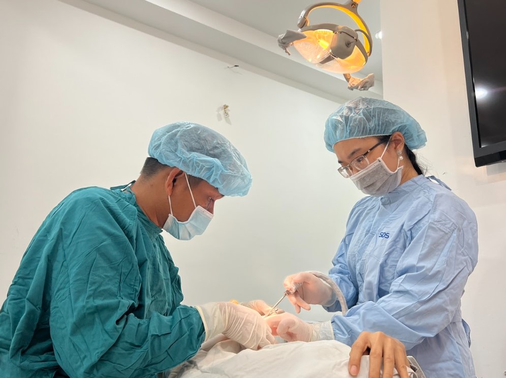 Thay mão sứ mới nếu răng sứ không khít hoặc kém chất lượng